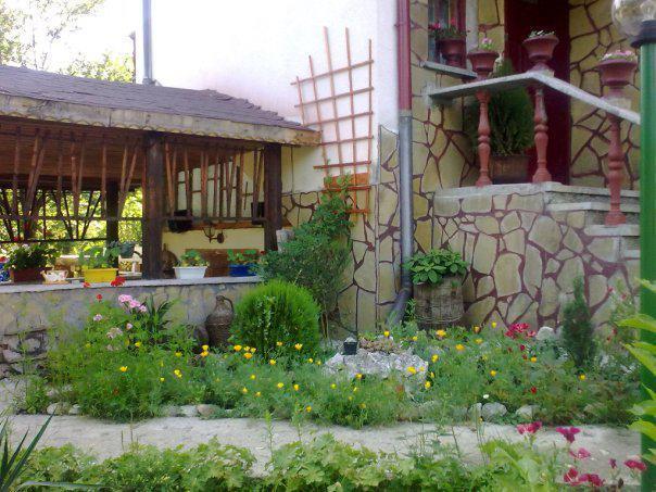Veselata Guest House Dolna Banya Εξωτερικό φωτογραφία