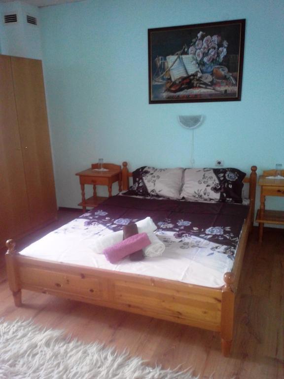 Veselata Guest House Dolna Banya Εξωτερικό φωτογραφία