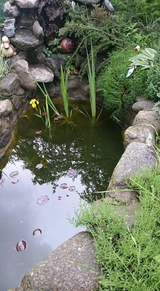 Veselata Guest House Dolna Banya Εξωτερικό φωτογραφία