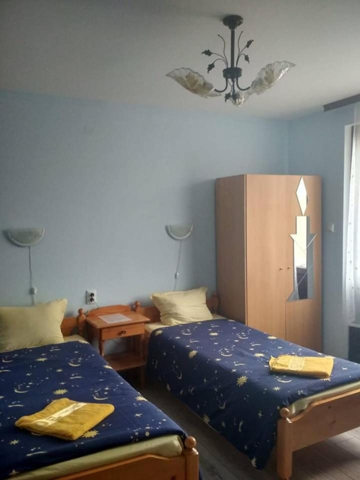 Veselata Guest House Dolna Banya Εξωτερικό φωτογραφία